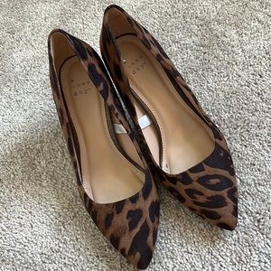 A New Day Leopard Heels